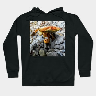 Mushroom in Fall Hoodie